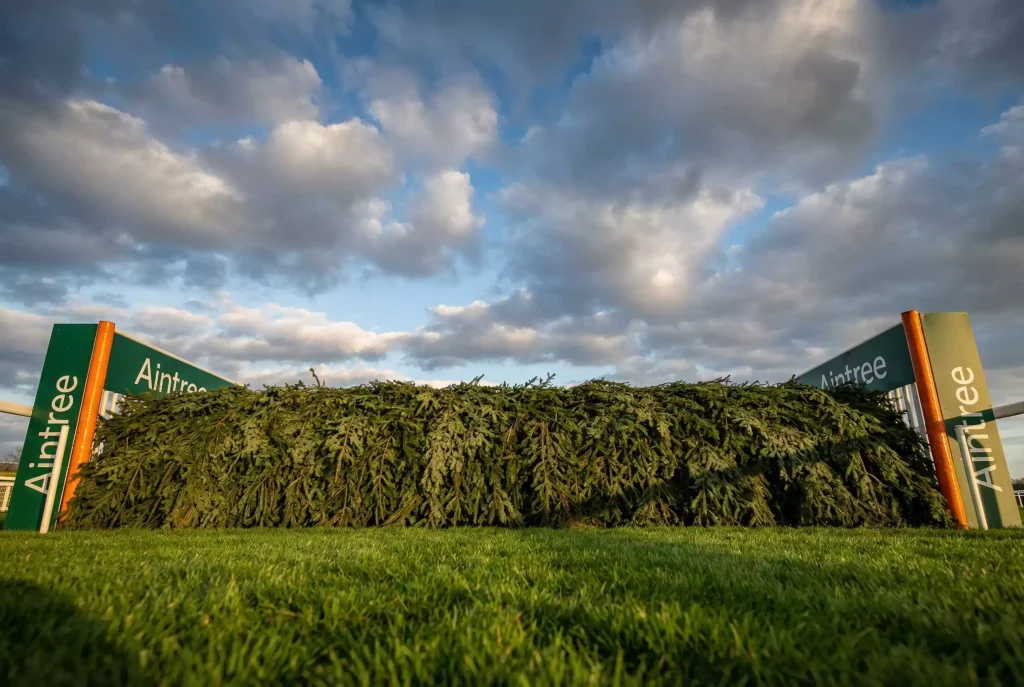 Horses jumping Becher