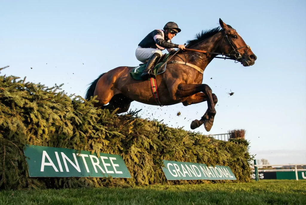 Topham Chase over Grand National fences at Aintree